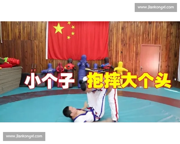 柔道对决拳击实战比较从规则技巧到胜负关键全解析擂台街斗适用性研究